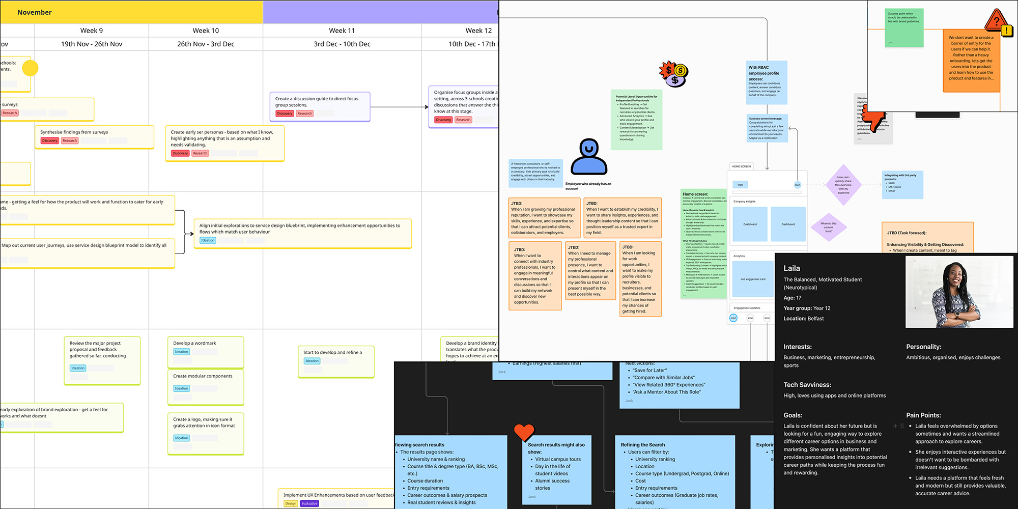 User personas and service blueprint development for Vibe